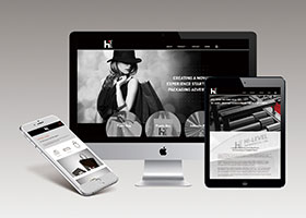 HI-LEVEL's new website launches!